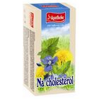 Apotheke Na cholesterol čaj 20x1.5g
