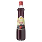 Yo Syrup forest fruits | 700 ml