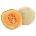 Meloun cantaloupe | 1 ks