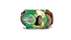 Avocado Moden | 2stk