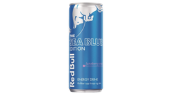 Red Bull Sea Blue | 250ml