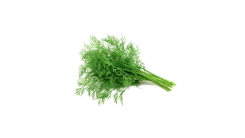 Dill | 20g