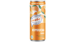 Nexba Kombucha Mango | 330ml