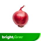 brightfarms Onion Red Small 250g