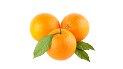 Ponkan Orange (3s)