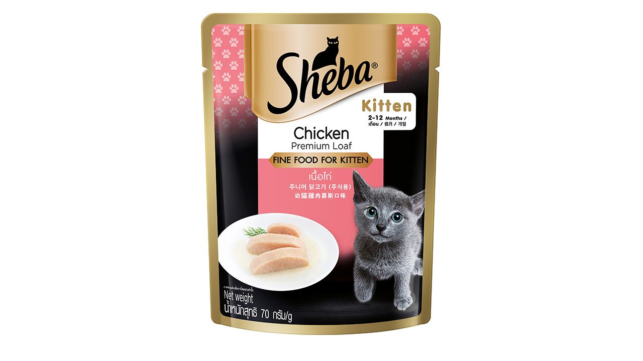 Buy sheba cat food best sale