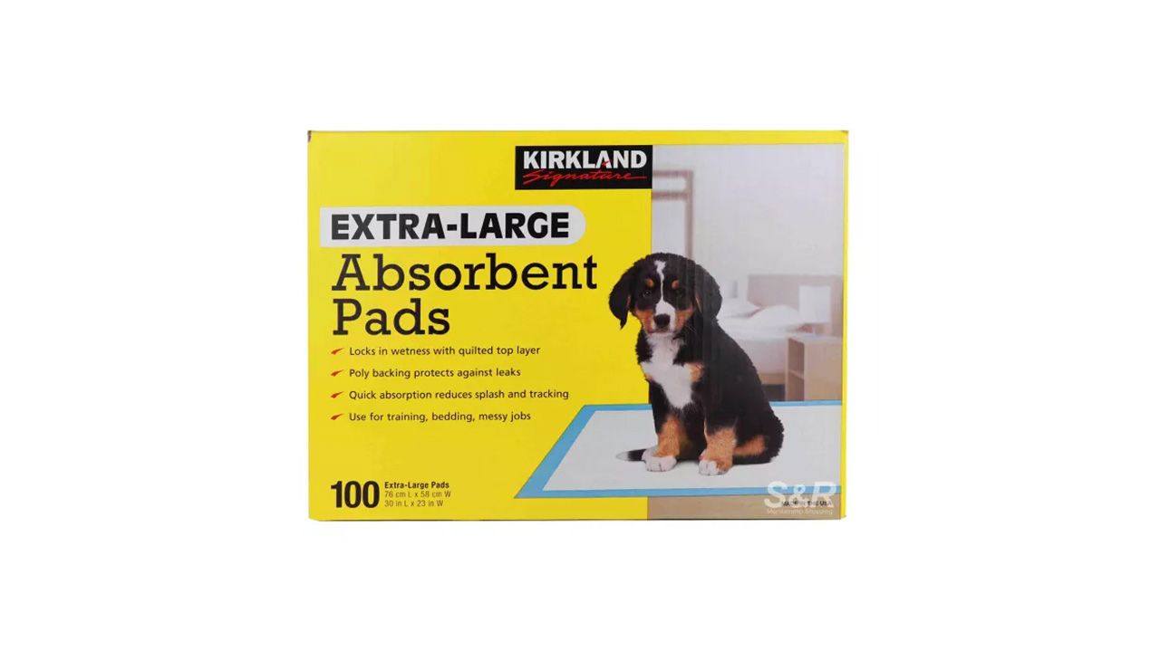 Extra large clearance absorbent pads kirkland