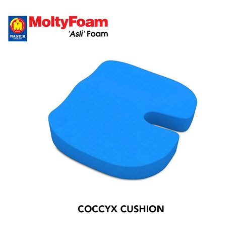 Coccyx Cushion– Master MoltyFoam