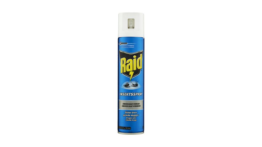 Raid Insect Spray 300ml