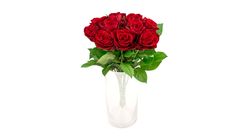 Mimea Roses Red 50cm 10pcs