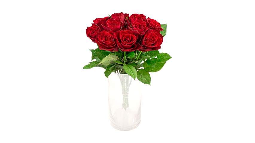 Mimea Roses Red 50cm 10pcs