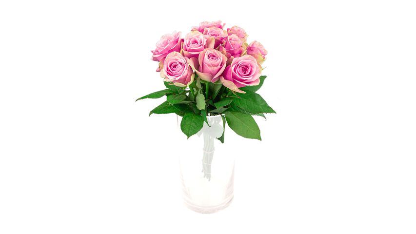 Mimea Roses Pink 50cm 10pcs