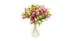 Mimea Alstromeria Pink 47cm 8pcs