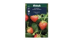 Weibulls Strawberries 10g 