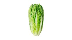 Lettuce Romaine  approx. 250g