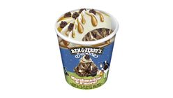 Ben & Jerry's Marshmallow & S'More! 427ml 