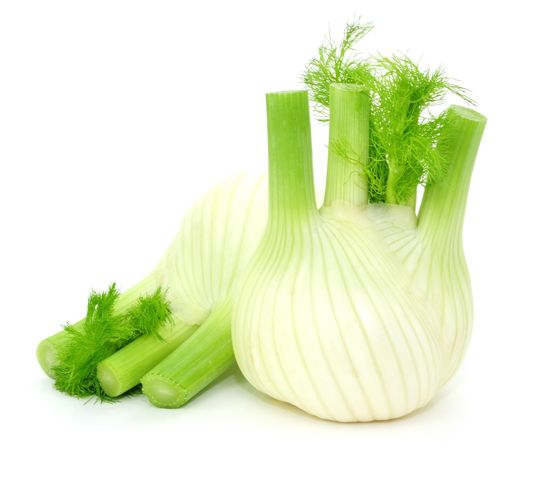 Fennel approx. 250g