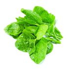 Indian Spinach - Pui Shak | 1 bundle