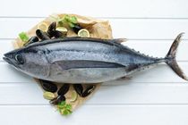 Tuna (Big) | 1 kg