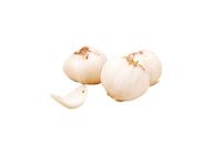 Fresh Lily Bulb 20000929 1 Pack