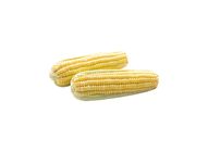 Corn 20507831 0.5 Catty