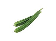 Long Angled Luffa 20509644 1 Catty