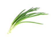 Spring Onion | 1 set