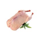 UK Wild Duck 500g+/--102590 | 500 g