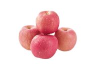 Small Fuji Apple | 4x1 set
