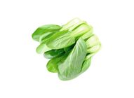 Chinese Cabbage 20507947 1.4 Catty