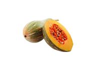 Pumpkin 20508838 1.6 Catty