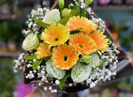 6 Sunflowers | 1 bouquet