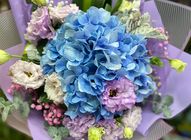 Hydrangea | 1 bouquet