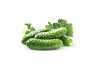 Cucumber | 2x1 set