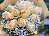 12 Champagne Roses | 1 bouquet