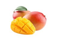 Australian Giant Mango | 2x1 set