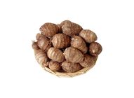 Mini Taro 20011840 1 Pack