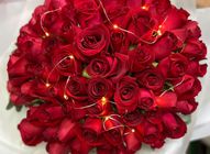 50 Red Roses | 1 bouquet