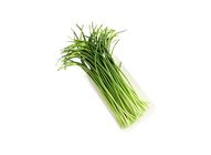 Garlic Shoot 20509088 0.5 Catty