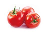 Tomatoes | 3x1 set