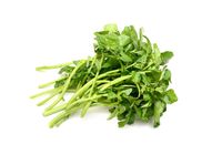 Chinese Leafy Lettuce | 1 set