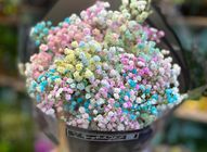 Baby's breath | 1 bouquet