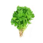 Coriander Leaves 100g