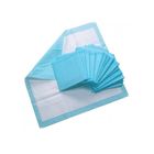 Biomedi Disposable Underpad 60cm X 90cm 10's