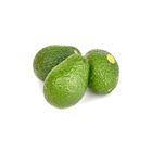 Australia Avocado - 1 piece 美容果 - 1粒 | 170 g