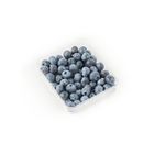 Blueberry 蓝莓 | 125 g