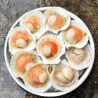 JHF Seafood Ingredients Seafood Frozen Scallop Half Shell 9/10 cm 虾夷扇贝半壳 | 1 kg