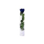 Xpressflower.com [PR08FP] 1 Stalk Preserved Blue Rose (Tall) | 18cm (L) x 44cm (H)