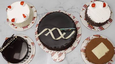 Cakery-Narsingdi