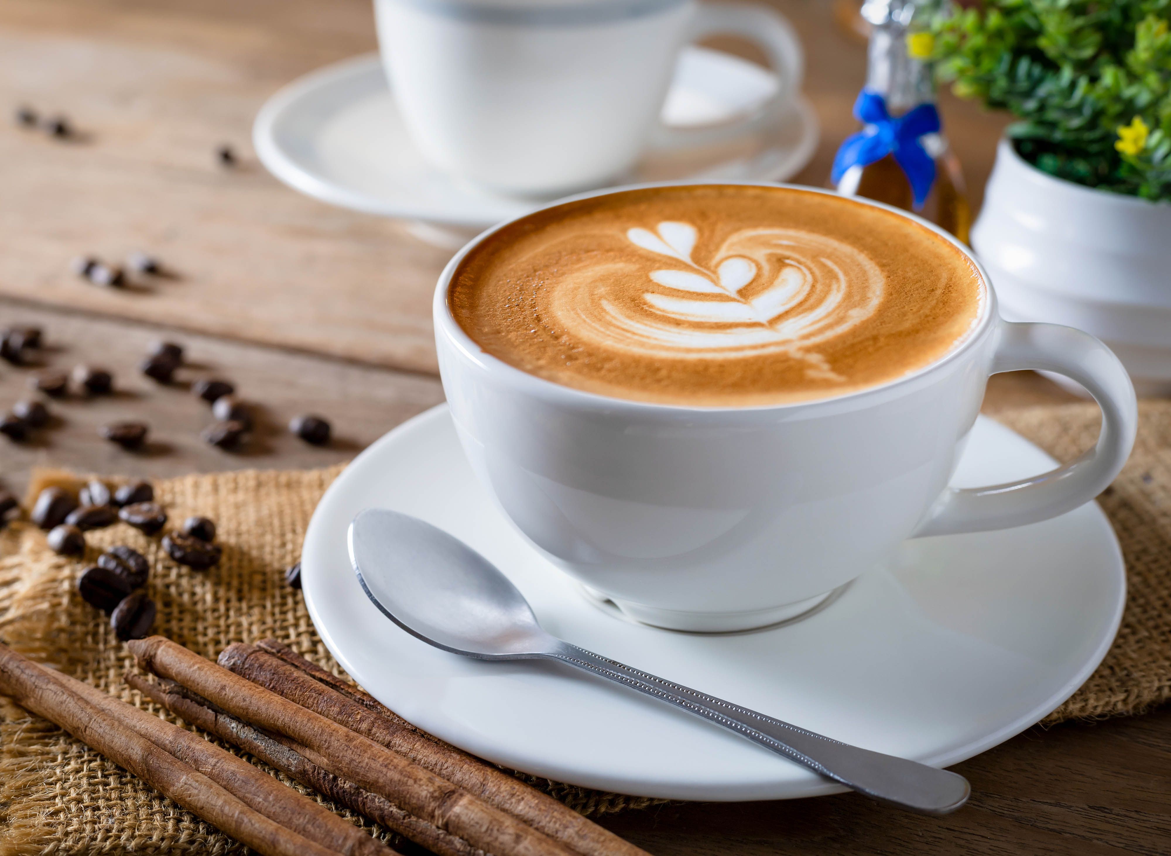 Wellness Cafe - Dhanmondi vendor logo